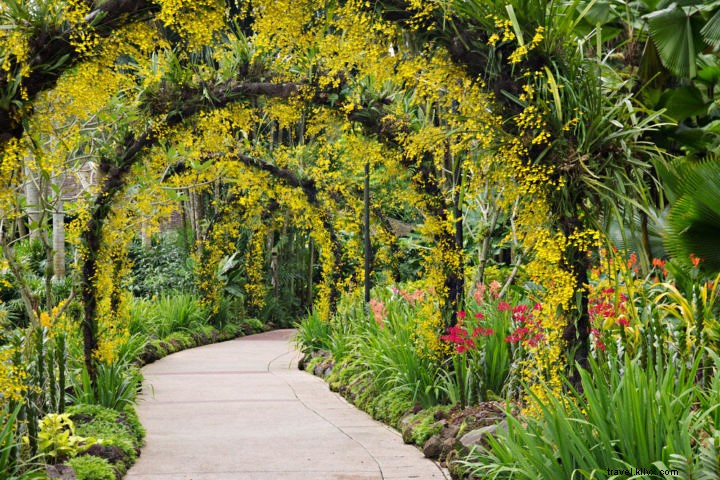 Singapore: Discover the City of the Future Today – 9 Compelling Reasons to Visit